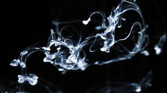 BETWEEN REGULARITY AND IRREGULARITY