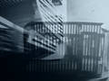 Wohnung und Monster / Place & Monster