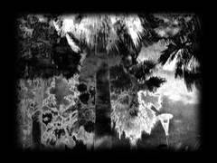 Palmes d´Or Palmes d´Or