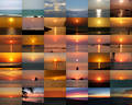 Sharing a Beautiful Sunset