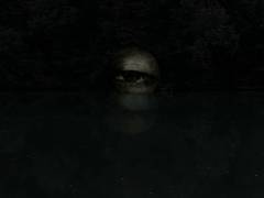 Swamp