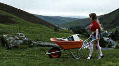 Little Red Hoodie