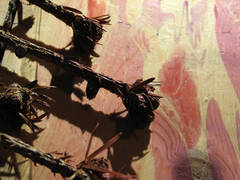 Exponat F / Exhibit F
