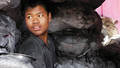 CHARCOAL BOY