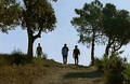 L’ �lan / The Run-up