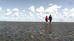 Blind im Wind / Blind In Mind Blind im Wind / Blind In Mind
