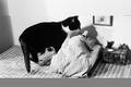 Der Schn�ffler / The Sleuth