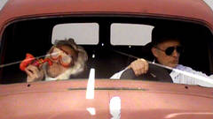 NACHTFAHRT  /  NIGHTDRIVE