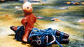 PETER UND DER WOLF  /  PETER AND THE WOLF