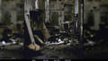 DIE FLIEGEN (THE BIRDS II)  /  THE FLIES (THE BIRDS II)