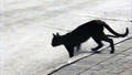 TRAVERSEE DE CHAT