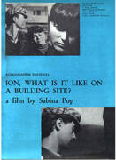 Ioane, cum e la constructe / Ion, what is it like on a building site