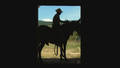 LOS CABALLOS SALVAJES  /  WILD HORSES
