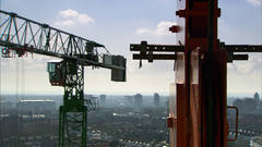 The Solitary Life of Cranes