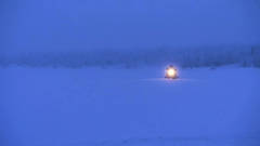 VILDA DUOTTAR  /  WILD TUNDRA