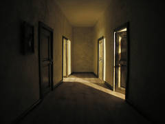 La Maison / The House