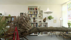 THE LIVING ROOM