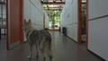EINE ZUKUNFTSWEISENDE VERGANGENHEIT  /  A FOREWARD-LOOKING PAST
