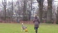 TRAUER UM LISSY  /  MOURNING LISSY
