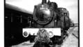 DIE  ANKUNFT EINES ZUGES  /  THE ARRIVING OF A TRAIN