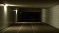 HALBE NACHT  /  HALF THE NIGHT