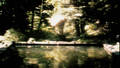 THE REFLECTING POOL