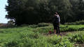 MORGEN LEBEN WIR WIEDER / TOMORROW WE WILL LIVE AGAIN MORGEN LEBEN WIR WIEDER / TOMORROW WE WILL LIVE AGAIN