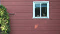 LES DIMANCHES  /  SUNDAYS