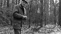 MACHT, DASS MIR INNE WIRD, WAS ICH DURCH EUCH VERLOREN HABE! / THE WOOD FOR THE TREES MACHT, DASS MIR INNE WIRD, WAS ICH DURCH EUCH VERLOREN HABE! / THE WOOD FOR THE TREES