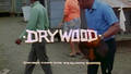 DRY  WOOD