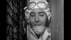 EL EXILO DEL PARASITO  /  THE EXILE OF THE PARASITE