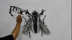 INSECT & CO  /  INSECT & CO (INSEKTEN & CO)