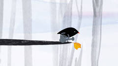 DER KLEINE VOGEL UND DAS BLATT  /  THE LITTLE BIRD AND THE LEAF