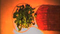 SEEDS