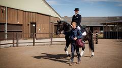 THE EQUESTRIAN