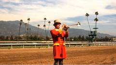 A DAY AT THE RACES... WITH THE PADDOCK TREE GANG