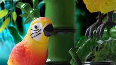 GREEN OUT