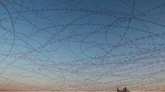RORYSI   ·  SWIFTS
