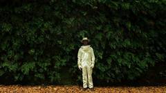 EL POLINIZADOR  ·  POLLINATOR