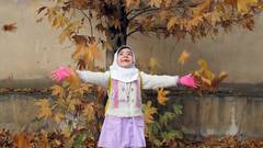 BARGHAYE PAYIZI (HERBSTLAUB)  ·  AUTUMN LEAVES