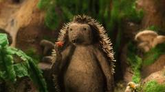 HEDGEHOG'S HOME (IGELS HAUS)