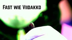 FAST WIE VIIDAKKO  ·  ALMOST LIKE VIIDAKKO