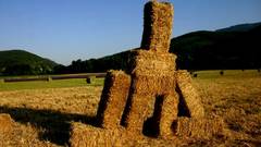 CAMPAGNE ART - CHAMPS PAILLE (FELDKUNST)