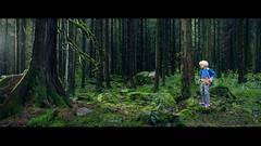 SOUNDS OF NATURE