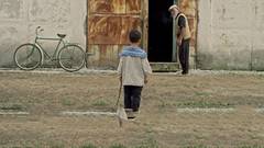 IN LOVE WITH CINEMA