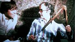 DER KLEINE GODARD