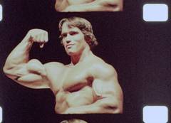 ARNOLD SCHWARZENEGGER - THE ART OF BODYBUILDING